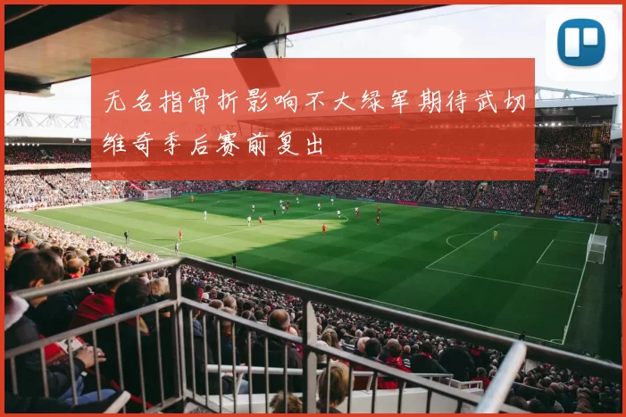无名指骨折影响不大绿军期待武切维奇季后赛前复出