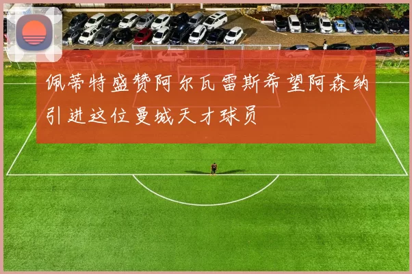 佩蒂特盛赞阿尔瓦雷斯希望阿森纳引进这位曼城天才球员